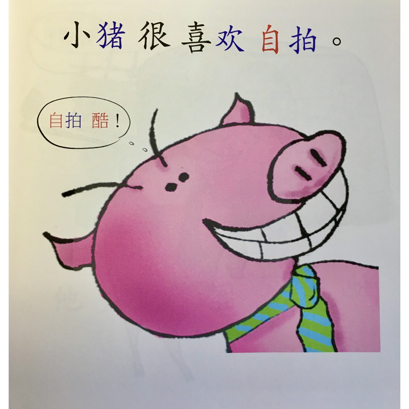 Squid for brains Pig takes selfies (Chinese - in simplified characters)