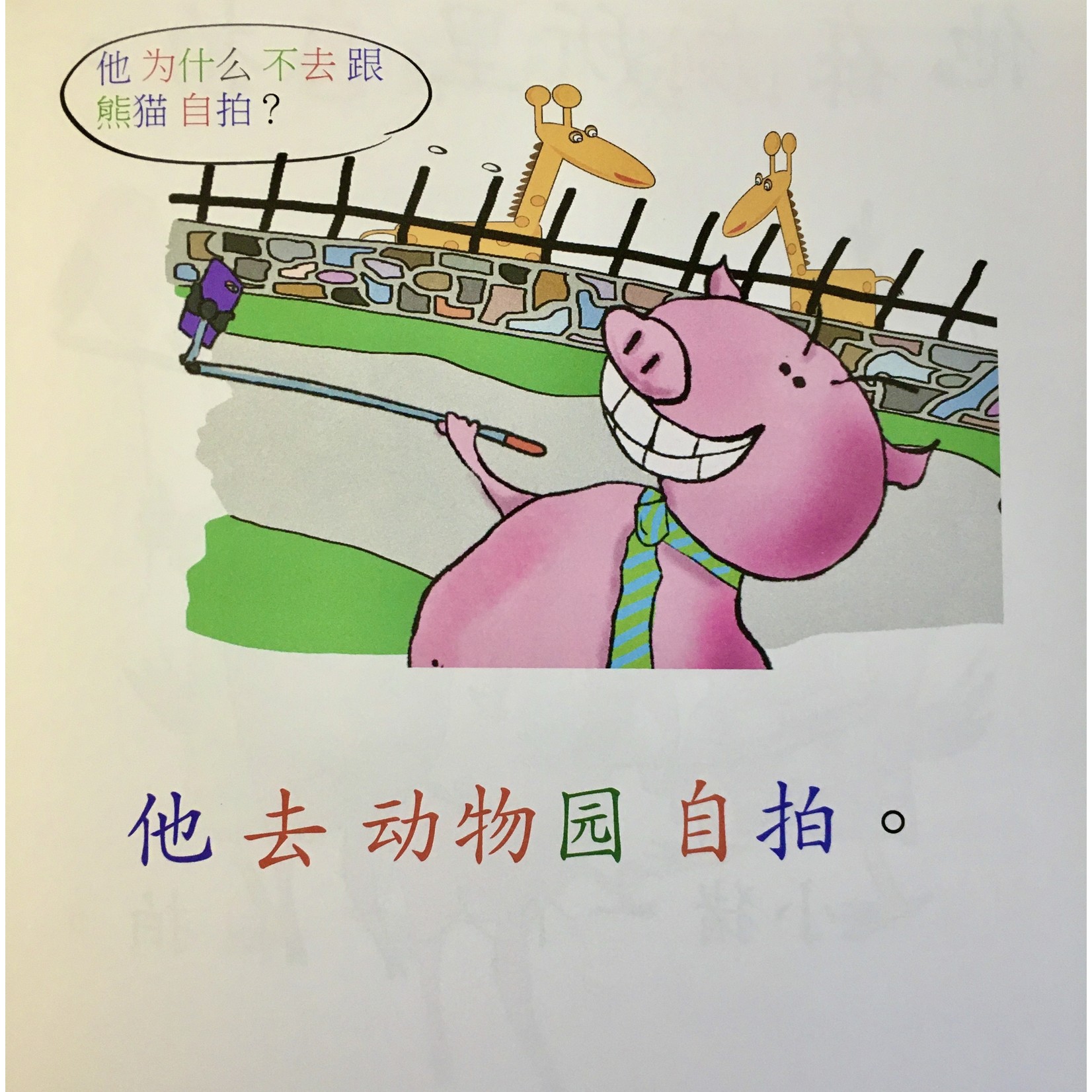 Squid for brains Pig takes selfies (Chinese - in simplified characters)