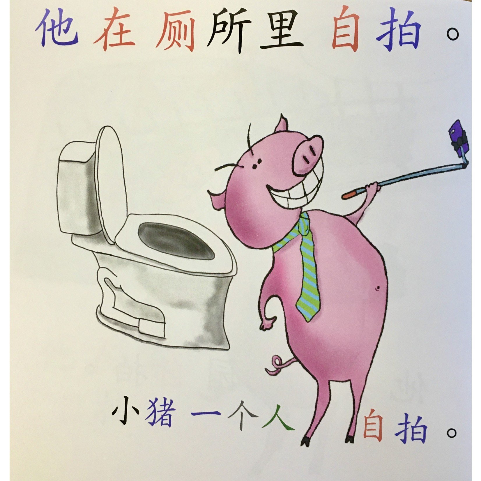 Squid for brains Pig takes selfies (Chinese - in simplified characters)