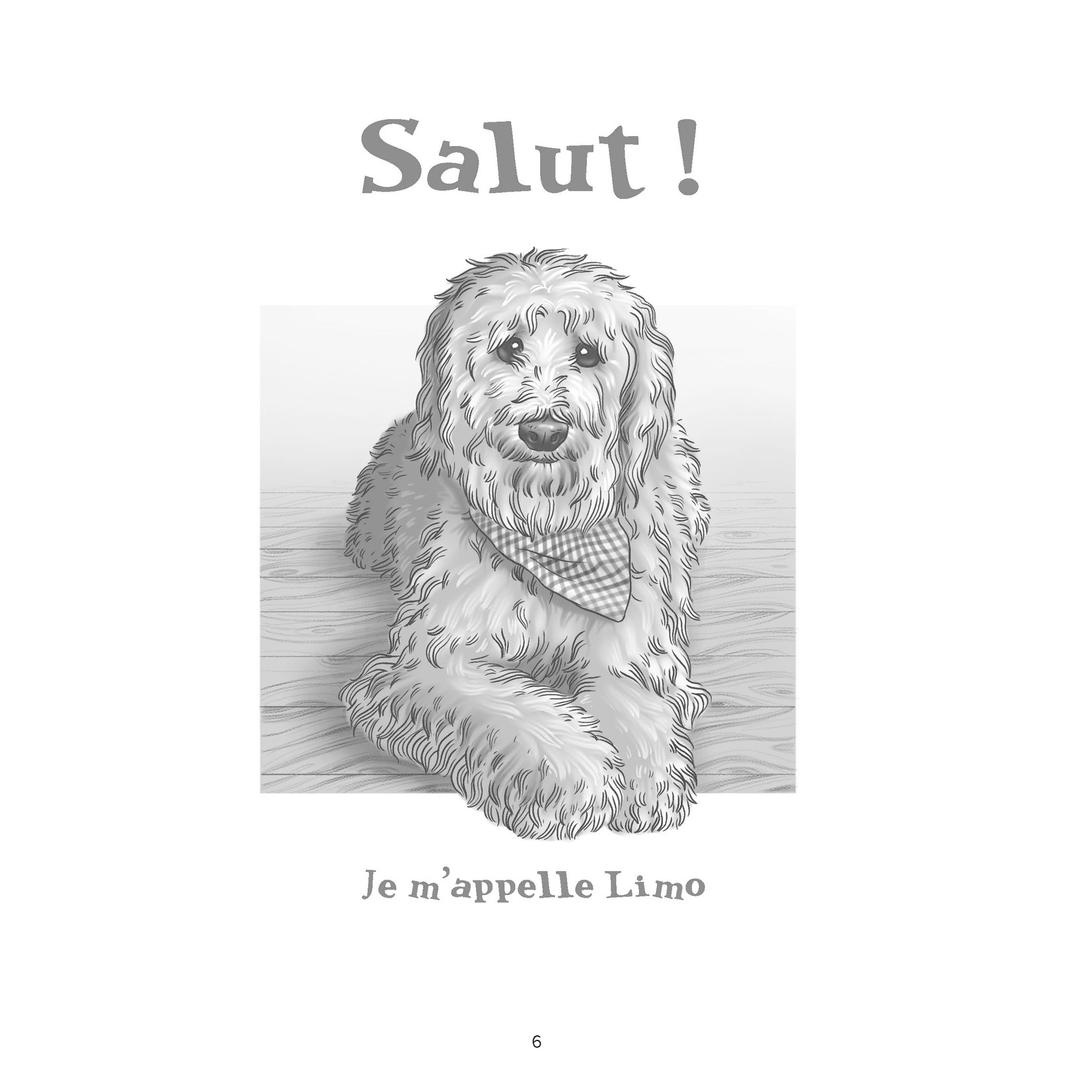 Mon jour préféré - Read in French with Limo!