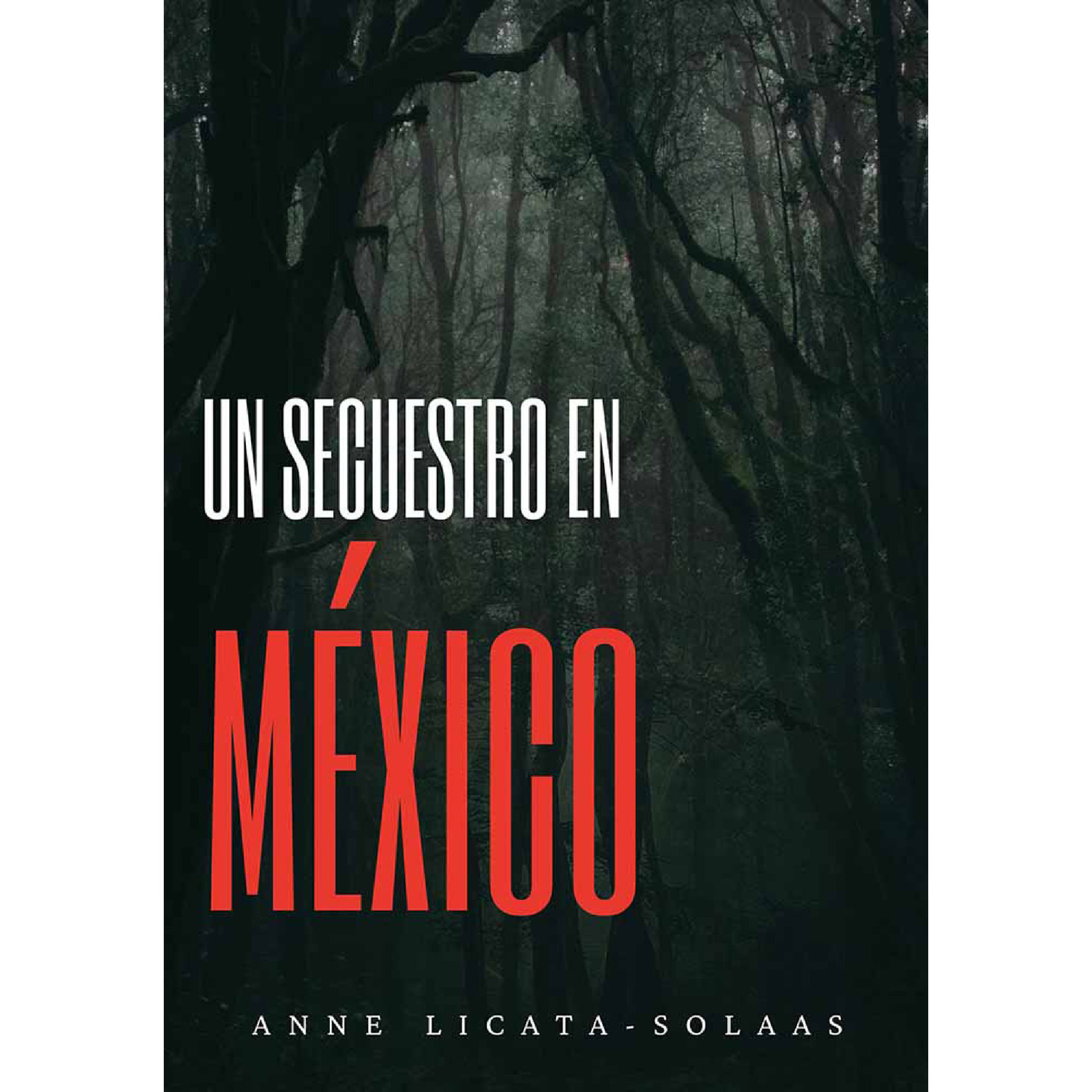 TPRS Books Un secuestro en México