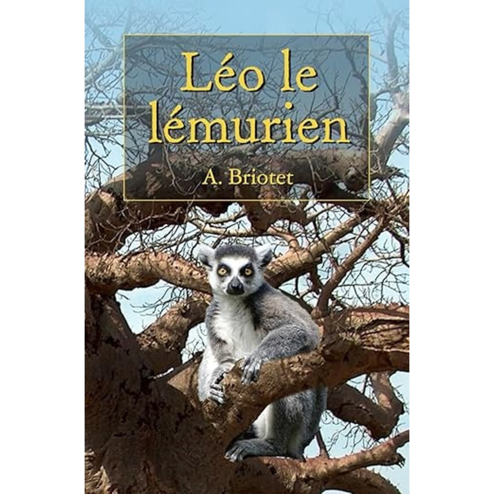 Anne Briotet Léo le lémurien