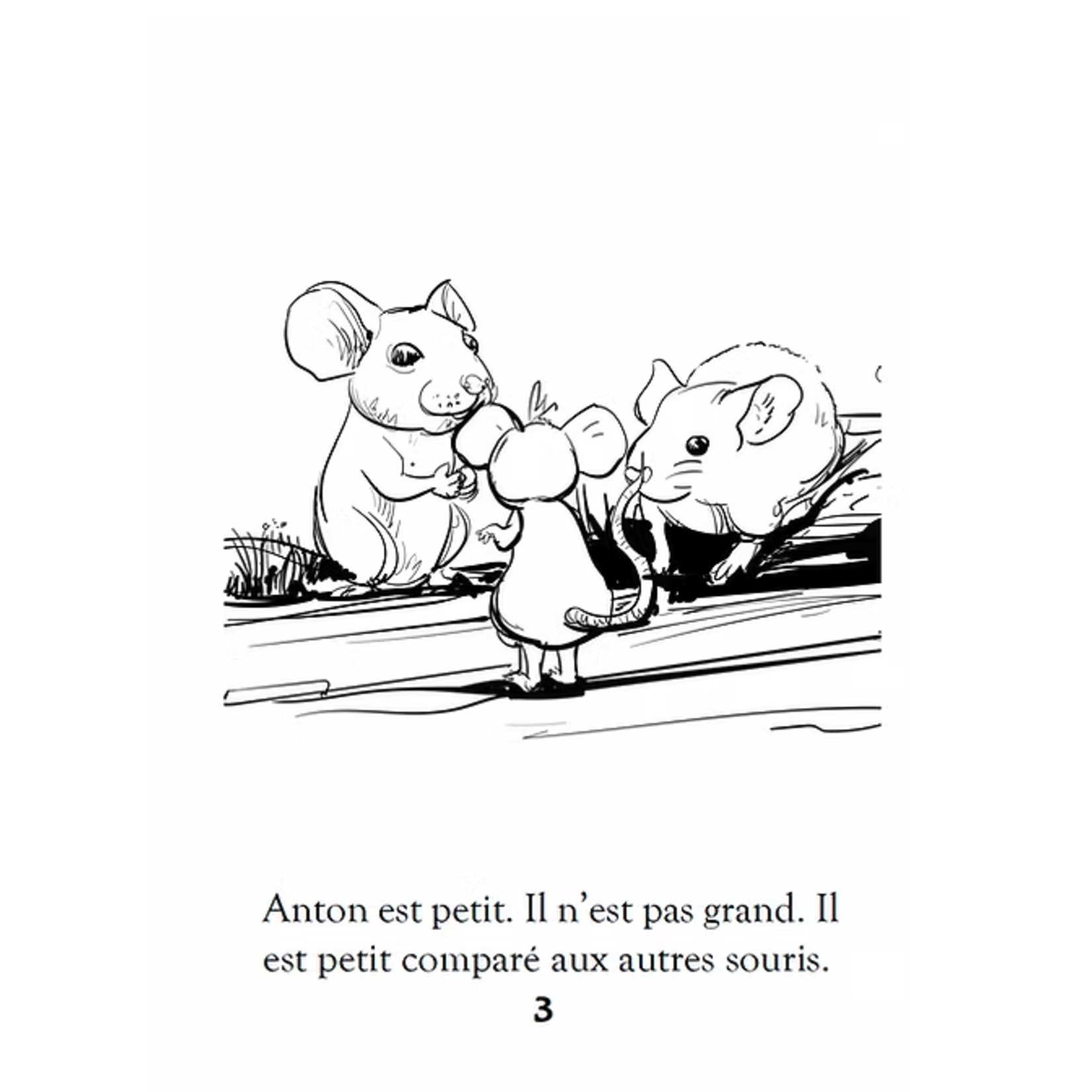 Theresa Marrama Anton la souris