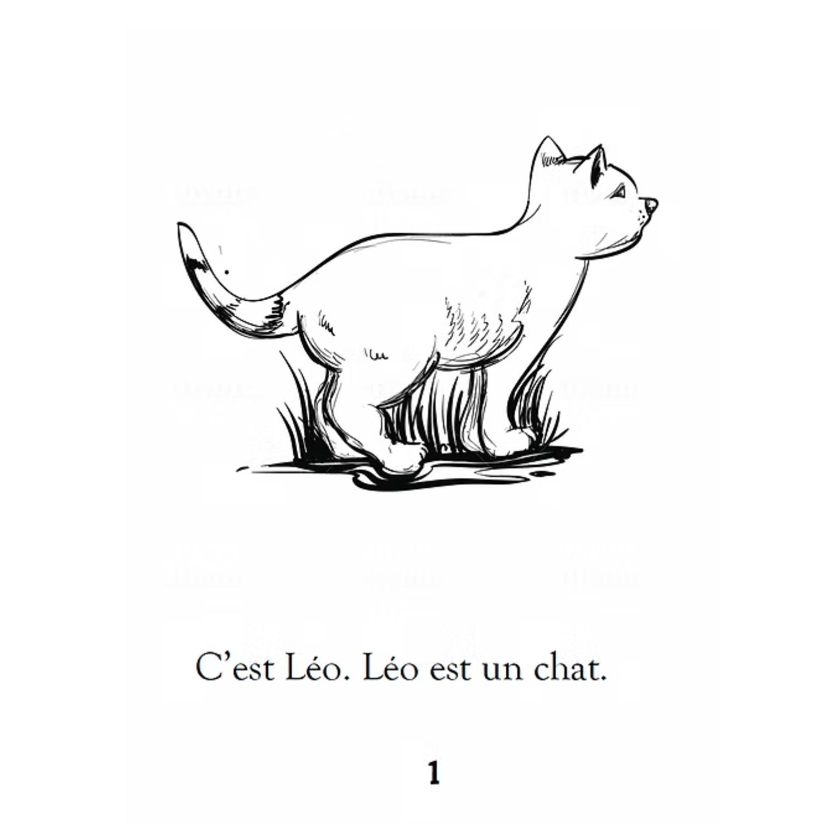 Theresa Marrama Léo le chat