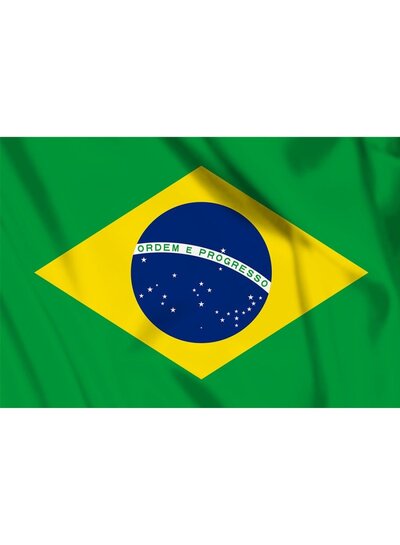 Fostex Vlaggen Noord/Zuid Amerika