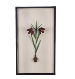 Painting Cabinet Fritillaria