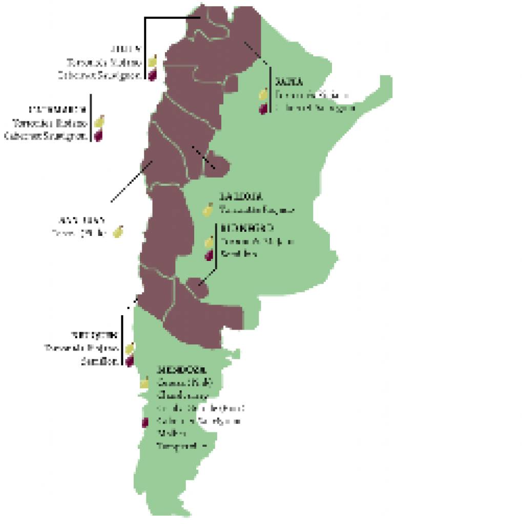 Mendoza feine Weine aus Argentinien