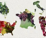 De Zoektocht naar Uw Oenologische Wederhelft: Een Expertise Gids in Druivenvariëteiten en Wijnprofilering