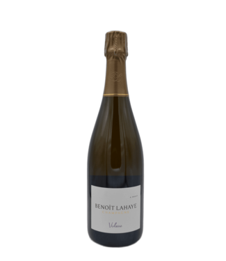 Benoît Lahaye Violaine 2016