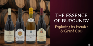 The Art of Burgundy