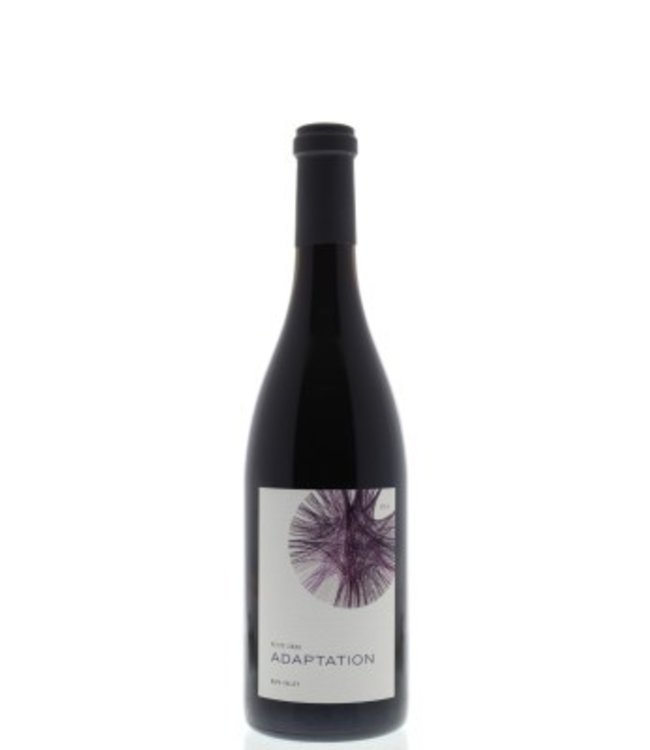 2013 Petite Syrah Adaptation 75cl