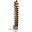 Eastfurn Solid wood wine rack for 24 bottles