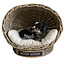 Decomeubel Rattan dog basket IGLO with cushion