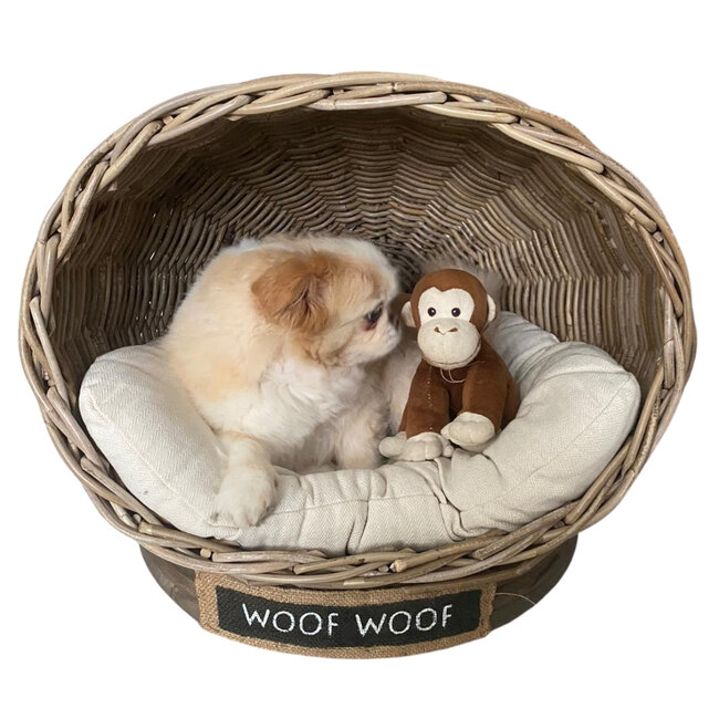 Decomeubel Rattan dog basket IGLO with cushion