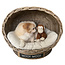 Decomeubel Rattan dog basket IGLO with cushion