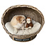 Decomeubel Rattan dog bed IGLO with cushion