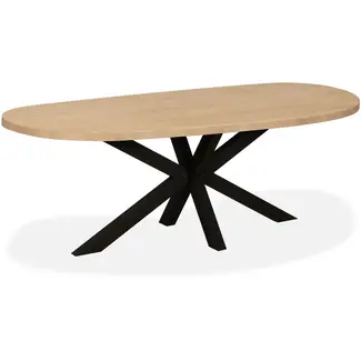 Lamulux Organically Shaped Table - Orion