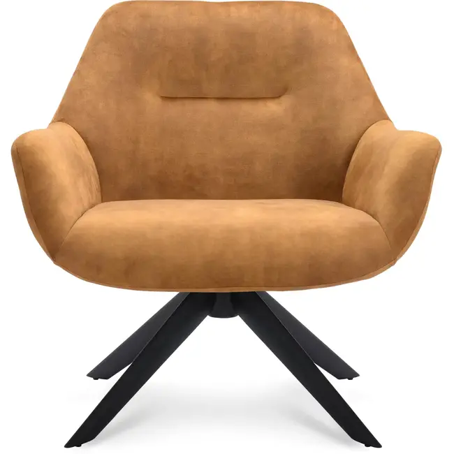 Decomeubel Fauteuil Vegas couleur - Cognac