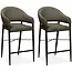 MX Sofa Barstuhl Ravenna - Mouse (2er-Set)