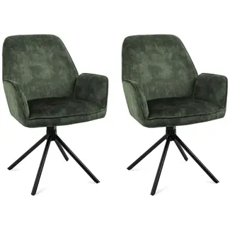 Benoa Noah Moss Dining Chair (set of 2 chairs)
