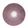 Urban Nature Culture Amsterdam Urban Nature Culture placemat Paper - Vegs Pink