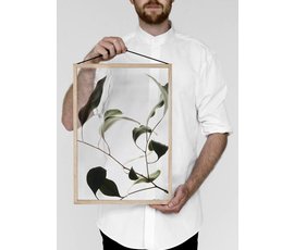 Moebe Moebe floating leaves A3 09 print