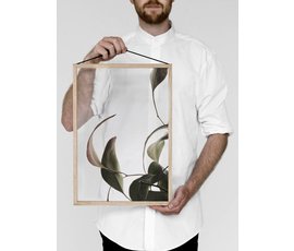 Moebe Moebe floating leaves A3 08 print