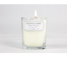 Brandt kaarsen Burns candles Eucalyptus & Lemon