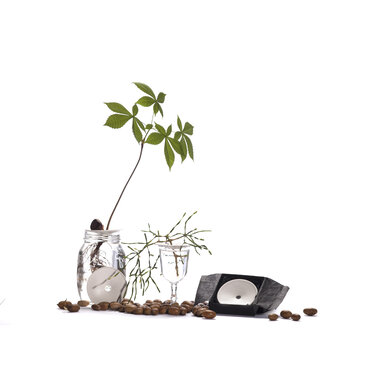 Sprout Sprout L