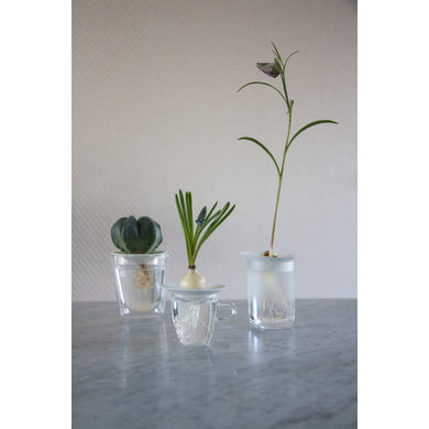 Sprout Sprout L