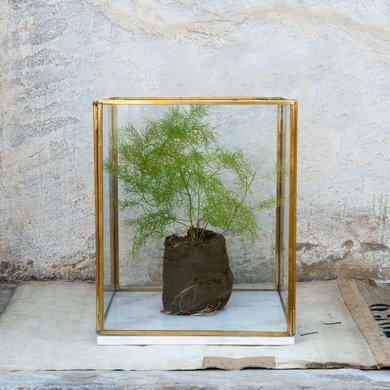 Dassie Artisan Dassie Artisan lantaarn M