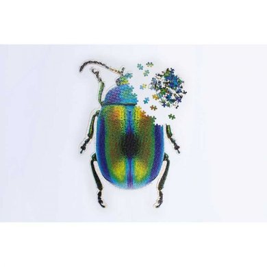 Doiy Slow Puzzle "Beetle"