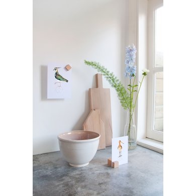 Roosmarijn Knijnenburg Hold It click