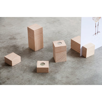 Roosmarijn Knijnenburg Hold It klik