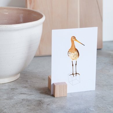 Roosmarijn Knijnenburg Hold It click