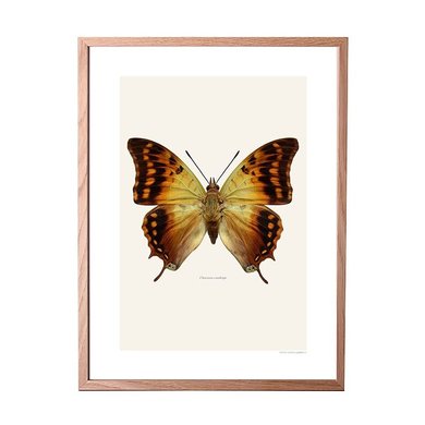 Liljebergs Liljebergs  eiken frame verschillende maten