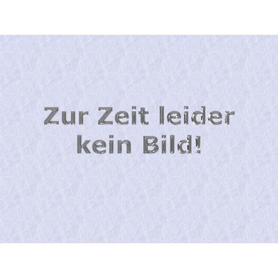 Sanitdes - Desinfizierender Unterhaltsreiniger