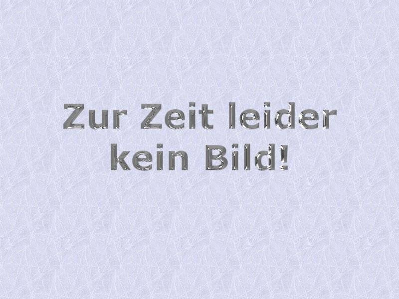 Frostik M - Scheibenfrostschutz bis -50°C