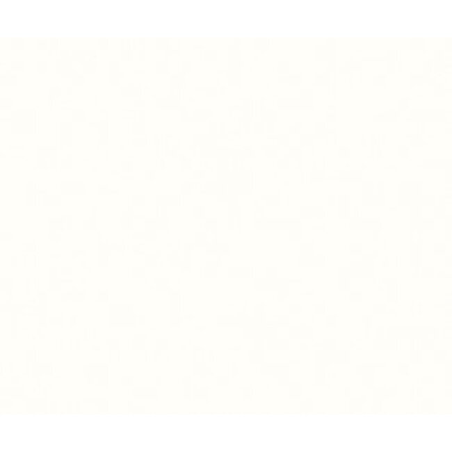 Florence Binnenplafond paneel 250x10 mm - Bianco