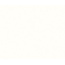 Florence Binnenplafond paneel 250x10 mm - Bianco