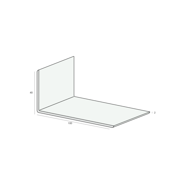 Heering Hoekprofiel 100 x 40 x 2 mm - Wit (1 x 600 cm)