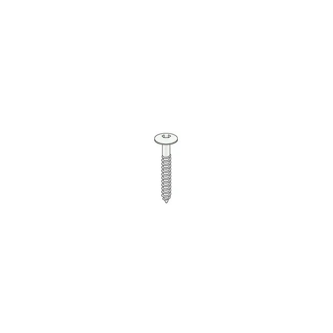 Keralit Schroef Torx RVS (T20) (200 stuks)