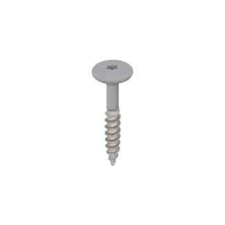 Keralit Torx schroef RVS (100 stuks) - Grijs