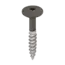 Keralit Torx schroef RVS (100 stuks) - Kwartsgrijs (per stuk)