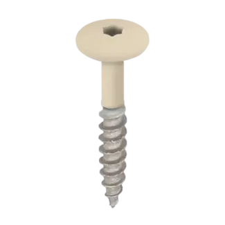 Keralit Torx schroef RVS (100 stuks) - Licht ivoor