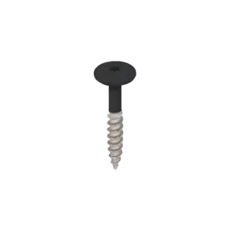 Keralit Torx schroef RVS (100 stuks) - Grafietzwart