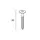 Keralit Torx schroef RVS (100 stuks) - Grafietzwart (per stuk)