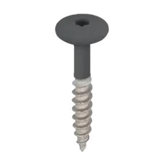 Keralit Torx schroef RVS (100 stuks) - Antraciet