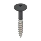 Keralit Torx schroef RVS (100 stuks) - Zwartgrijs