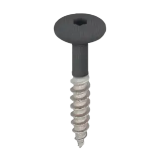 Keralit Torx schroef RVS (100 stuks) - Zwartgrijs